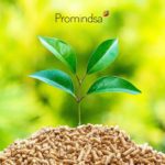 Biomasa y Promindsa