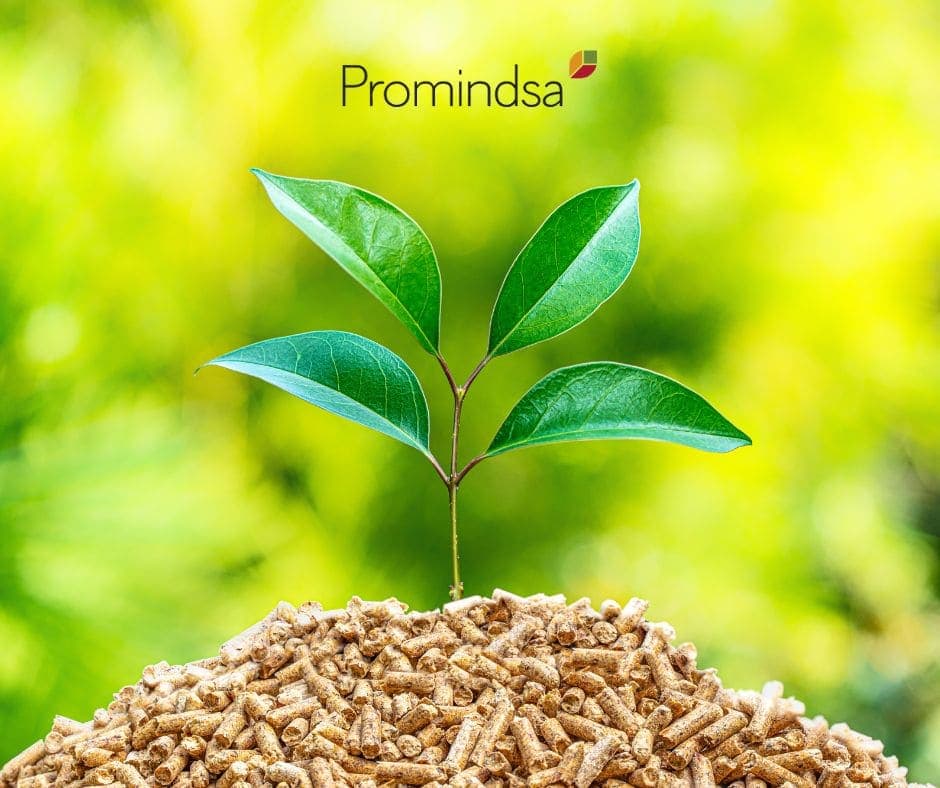 Biomasa y Promindsa