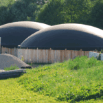 Biogas in UK